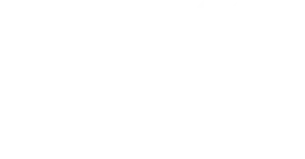 banner-stars